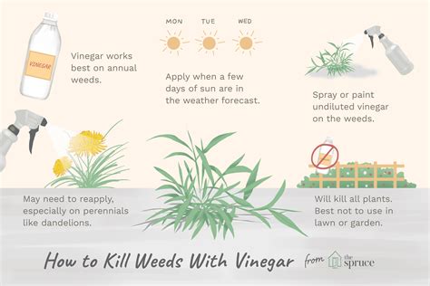 Natural Weed Control Tips